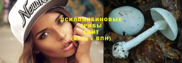 таблы Богородск