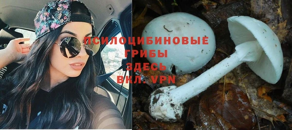 таблы Богородск