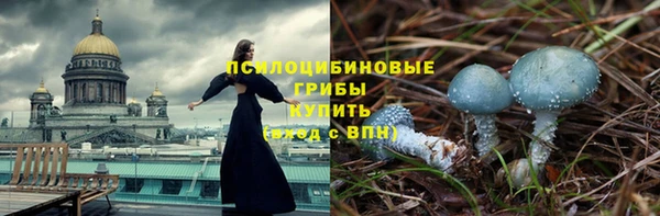 ALPHA-PVP Богородицк