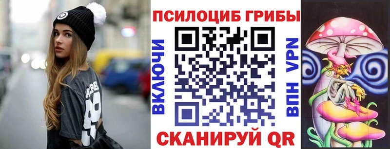OMG   Няндома  Галлюциногенные грибы прущие грибы 